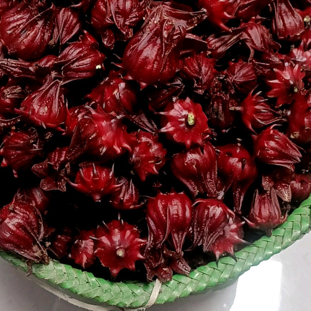 夏天的菊花