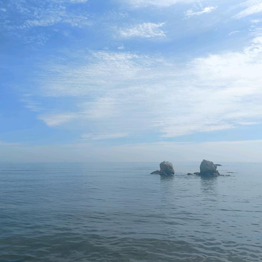 🌸一路风景一路花🌸