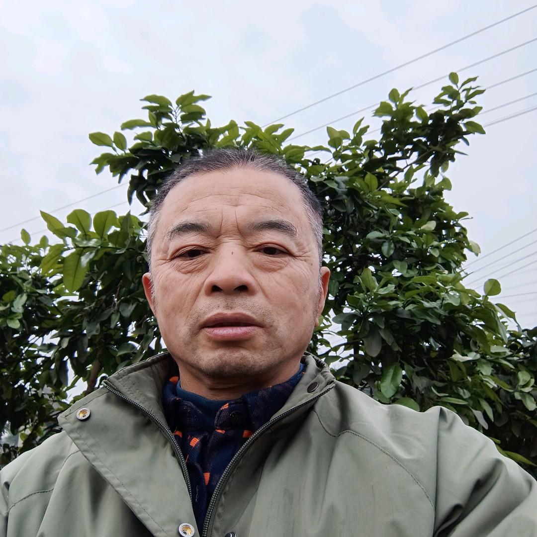 辉煌明天