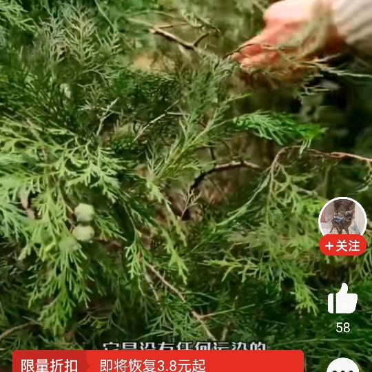 草药师