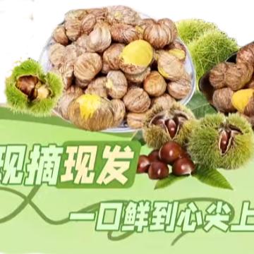 世芳臻选阁铺子