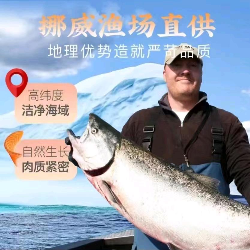 卖三文鱼的冯先生