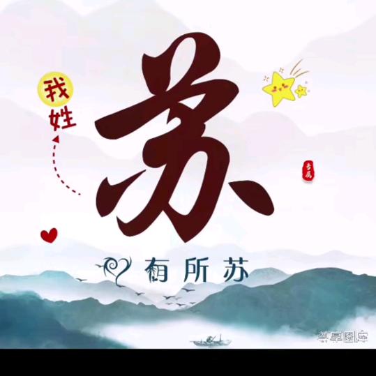 苏 记