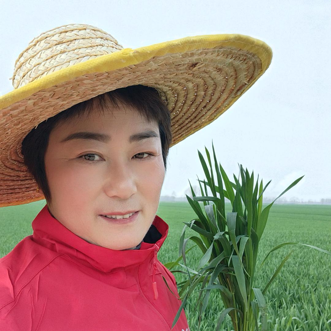 @贡山农资大姐