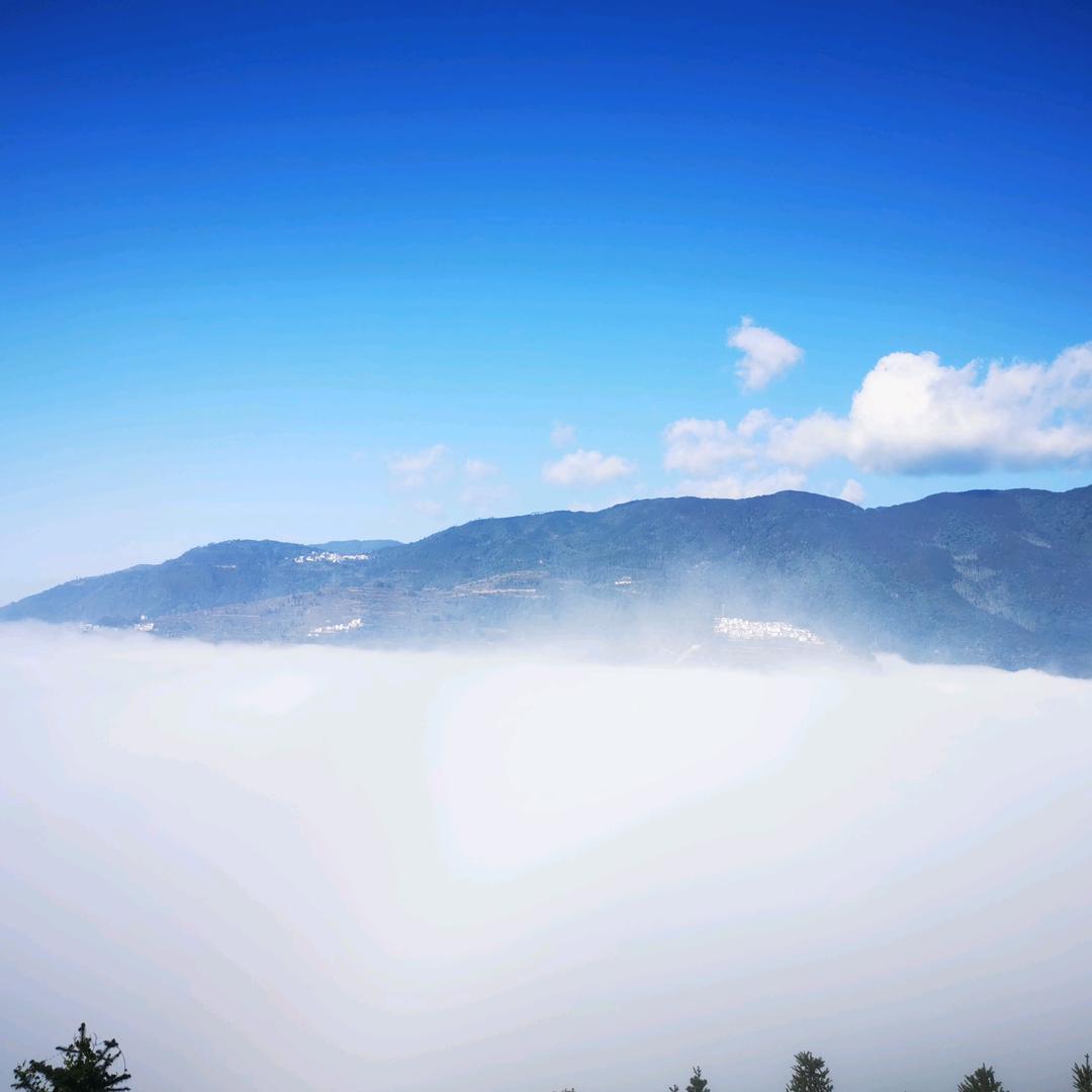 家住半江坡