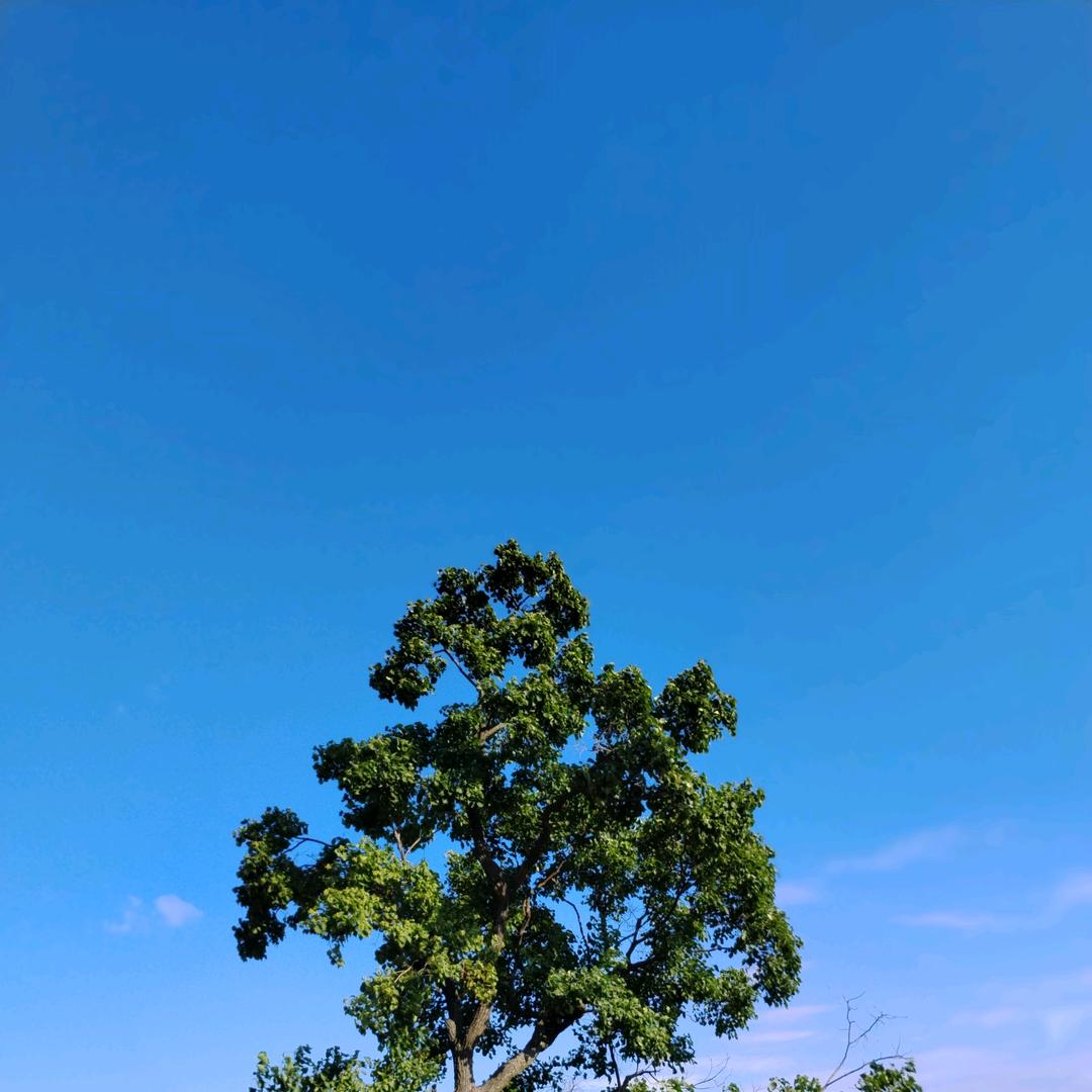 金水