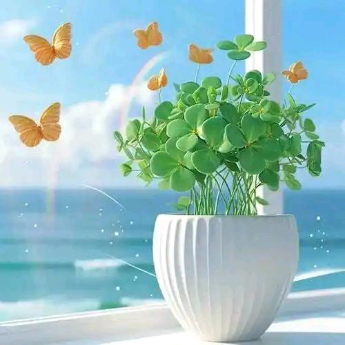 ᝰ爱财💞悦己꧂