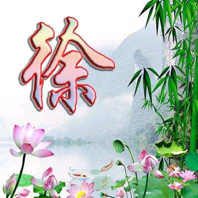 孤独雄狮🦁