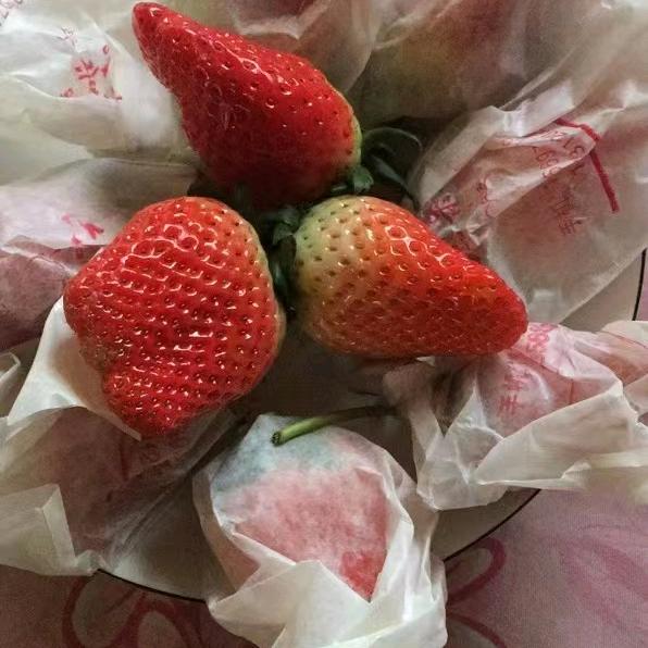 烟台赶海老王（小号）