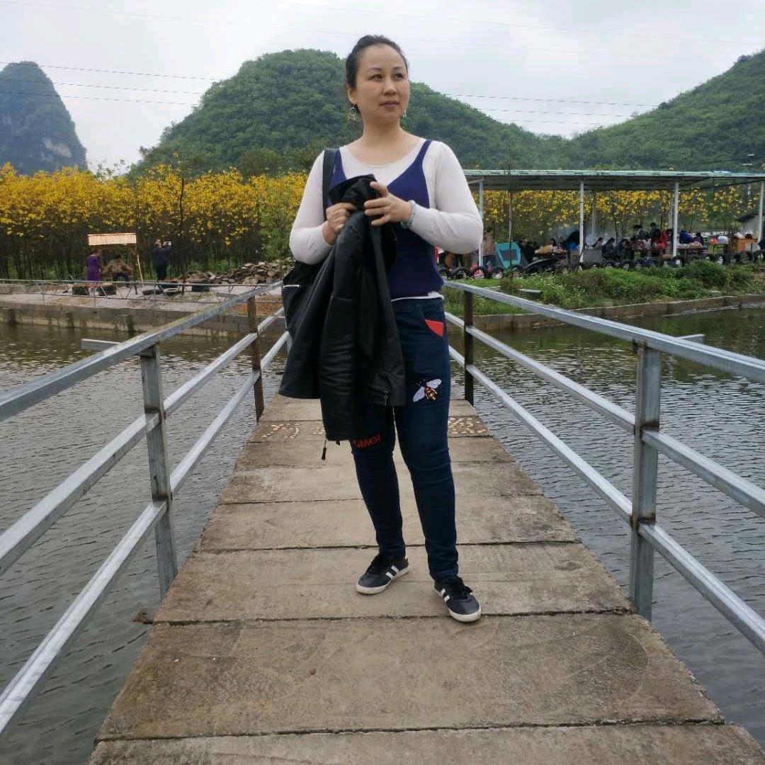 尘缘若梦