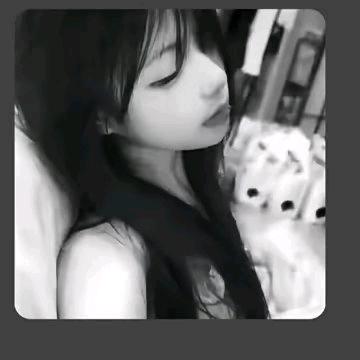 呆呆