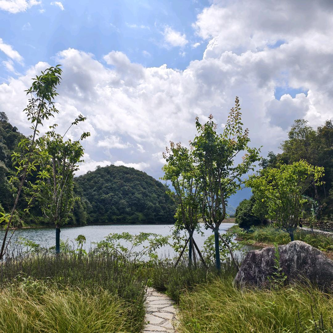 我家先生很单纯