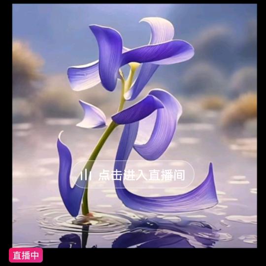 绝情龙哥