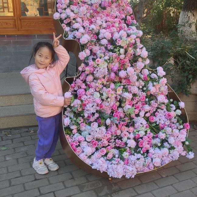 琦舞菲扬