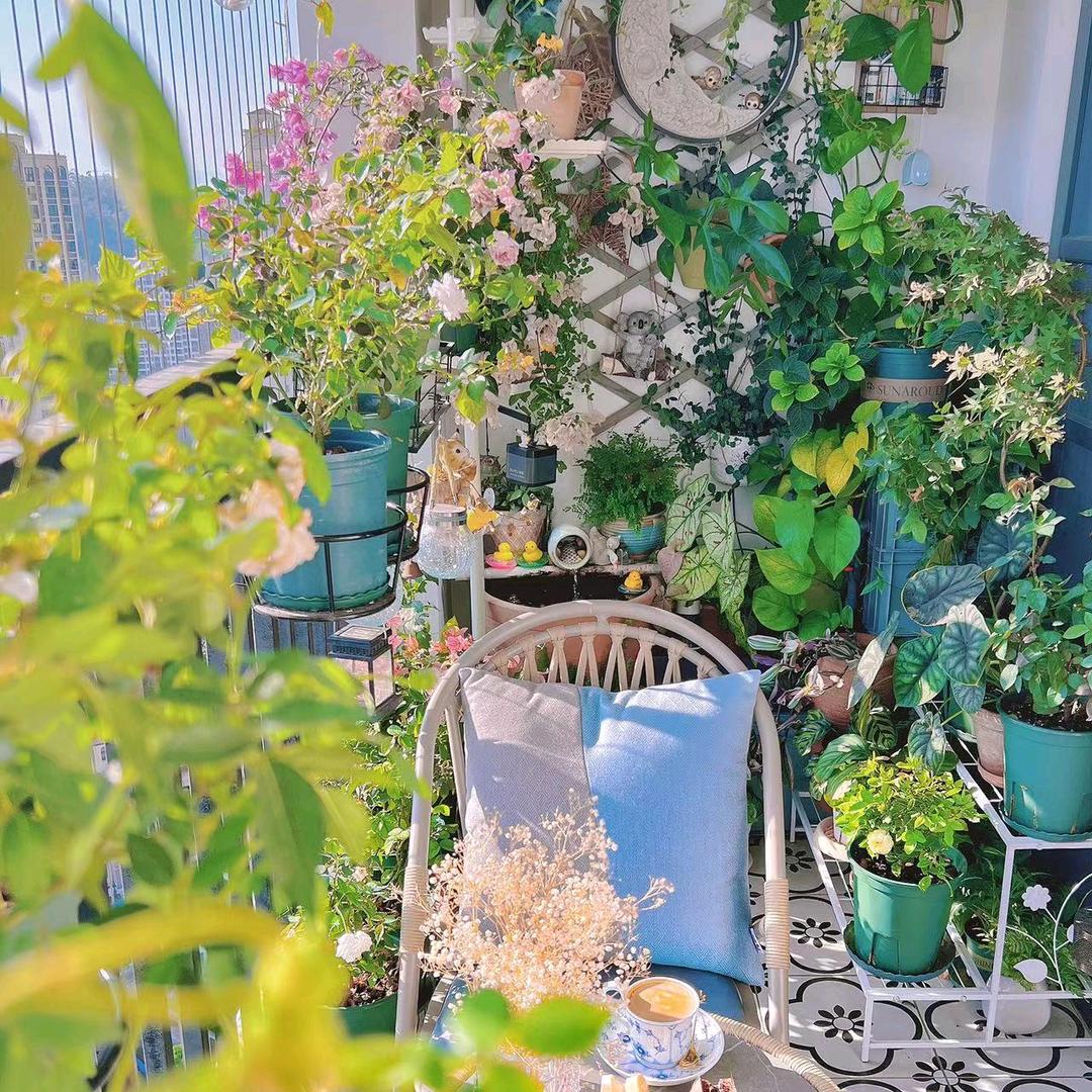 绿意的花园