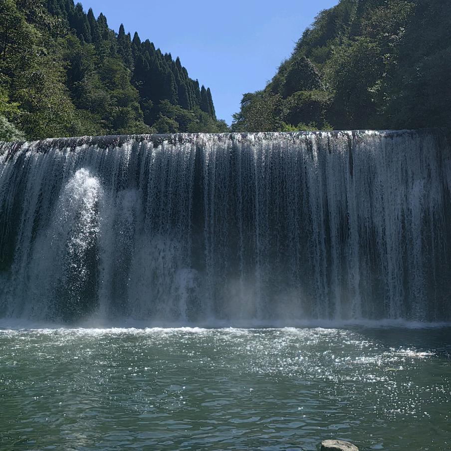 贵州青青