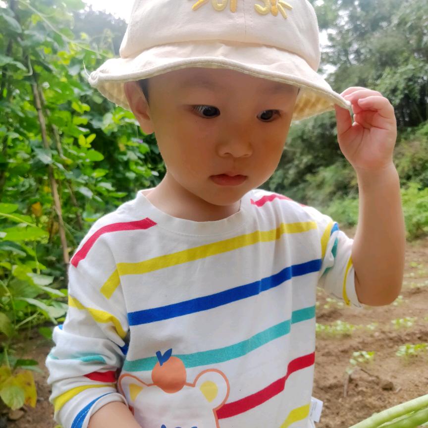 康康妈