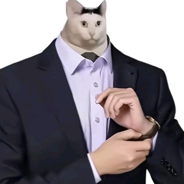 忧郁总裁骑老奶奶闯红灯