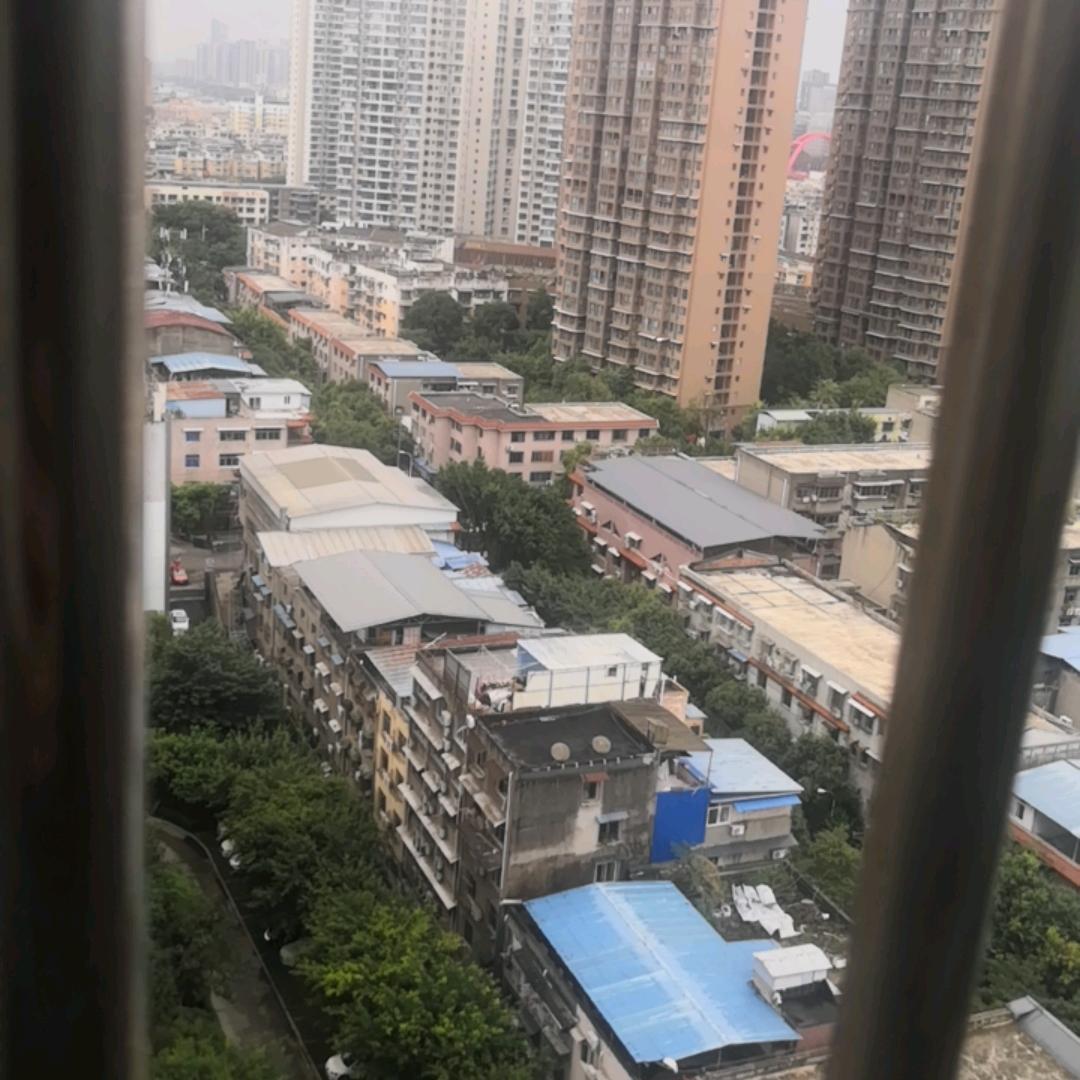 搞钱笑嘻嘻