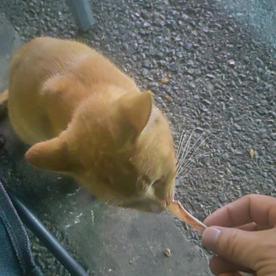 এ᭄蘰踄繧鍴ོꦿ࿐