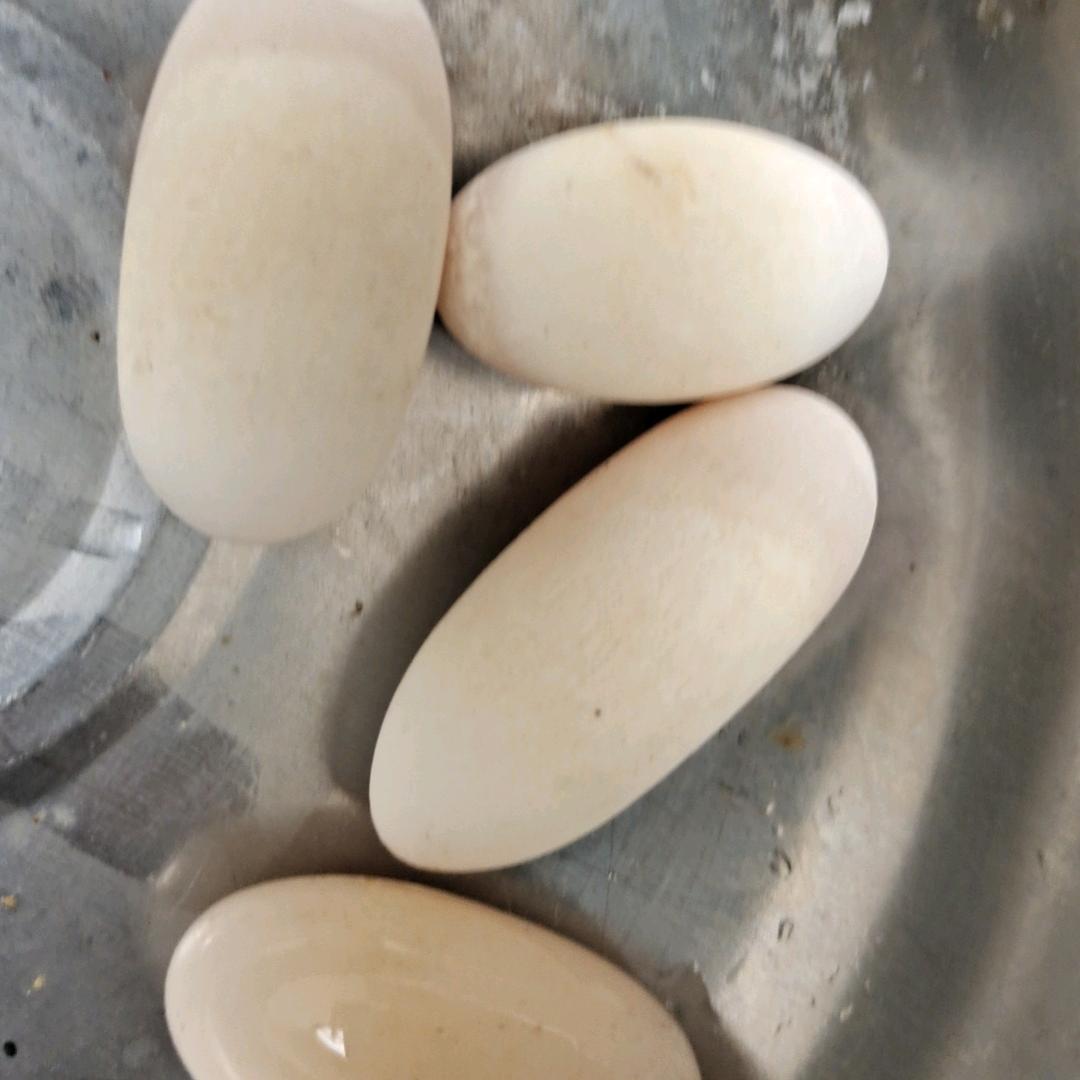 人生的道路看你怎么走下去