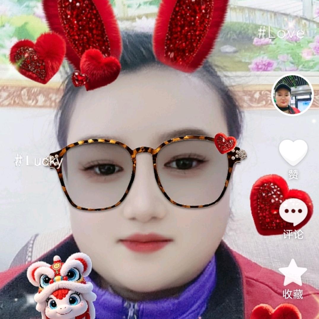 菊