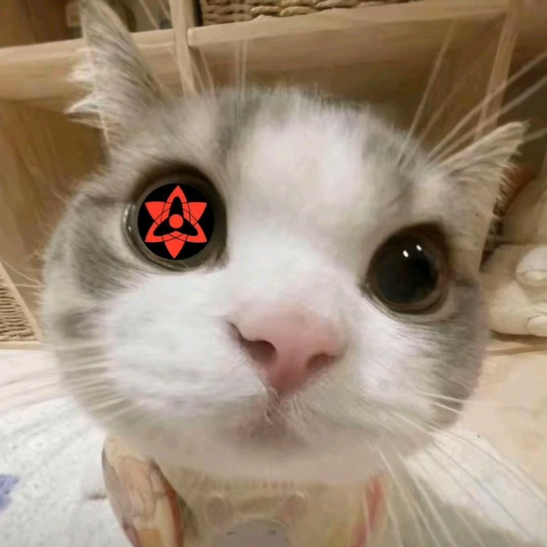 🌈无趣