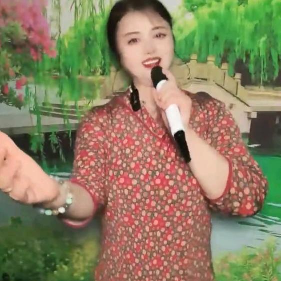 风雨花🎤