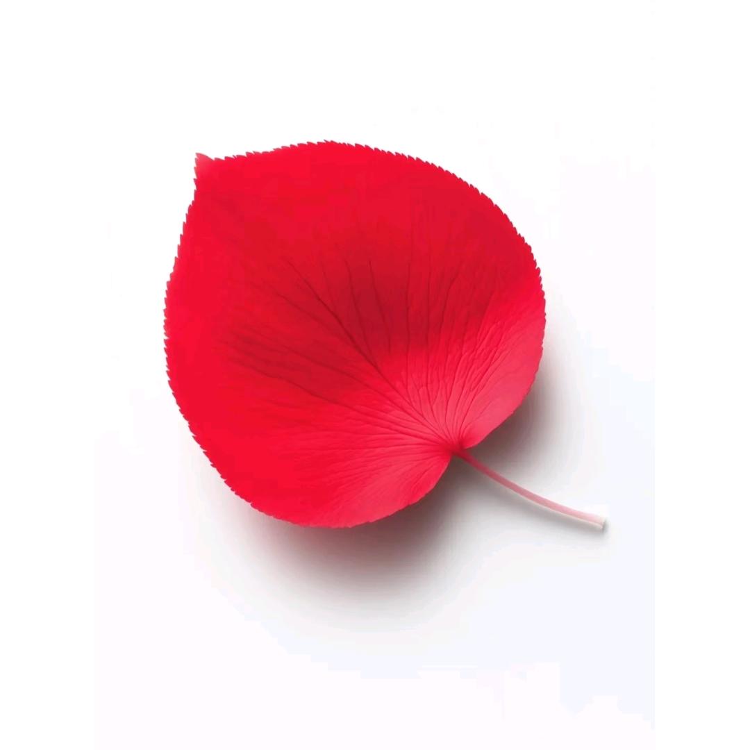 千城一梦