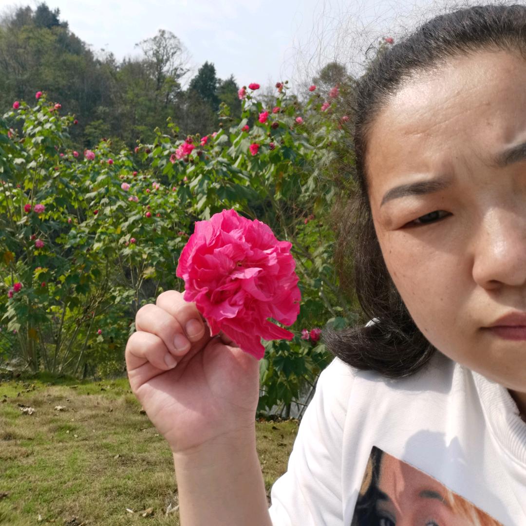 燕起