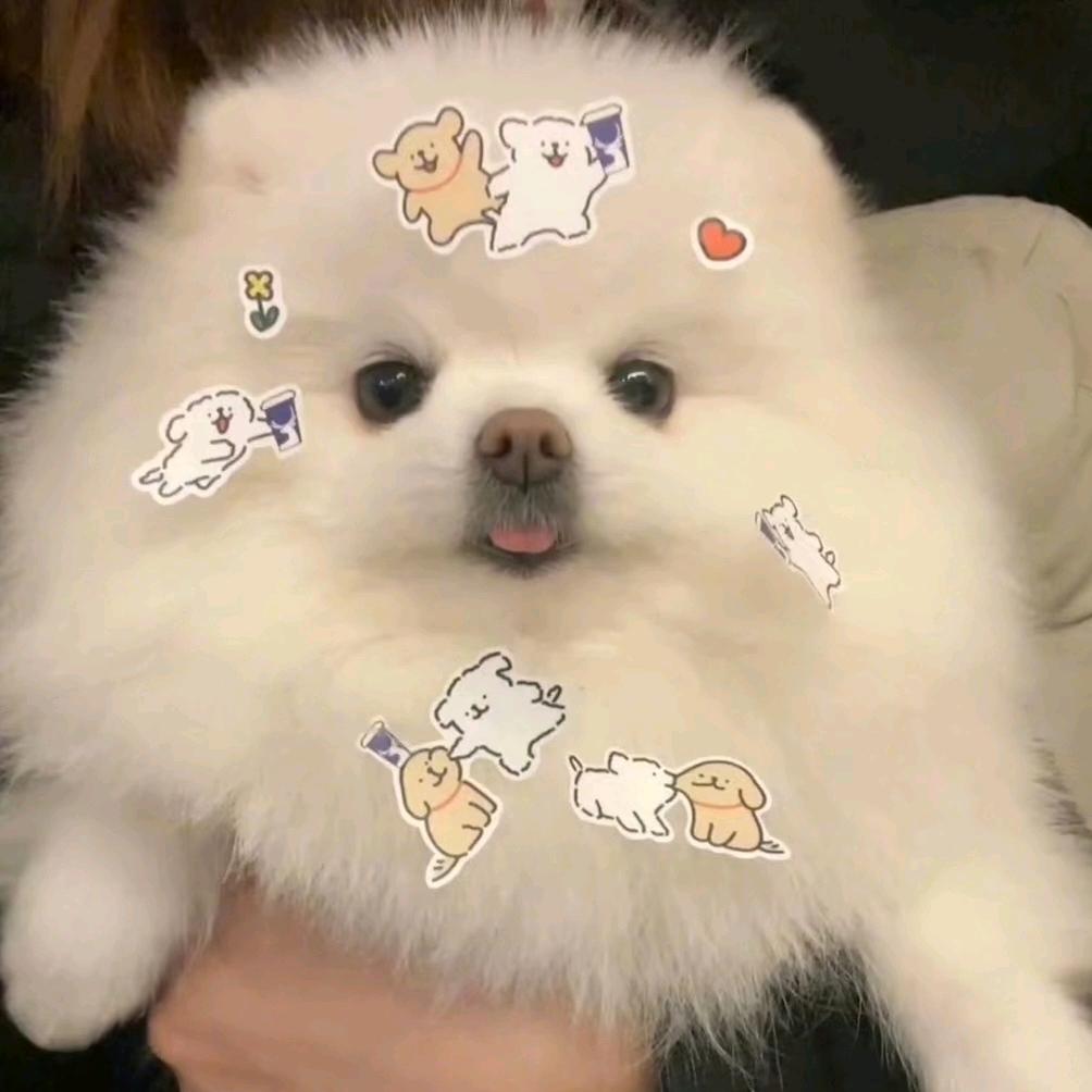 ╮（╯＿╰）╭