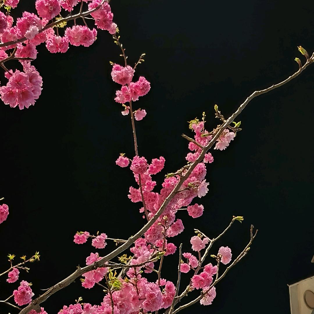 銘