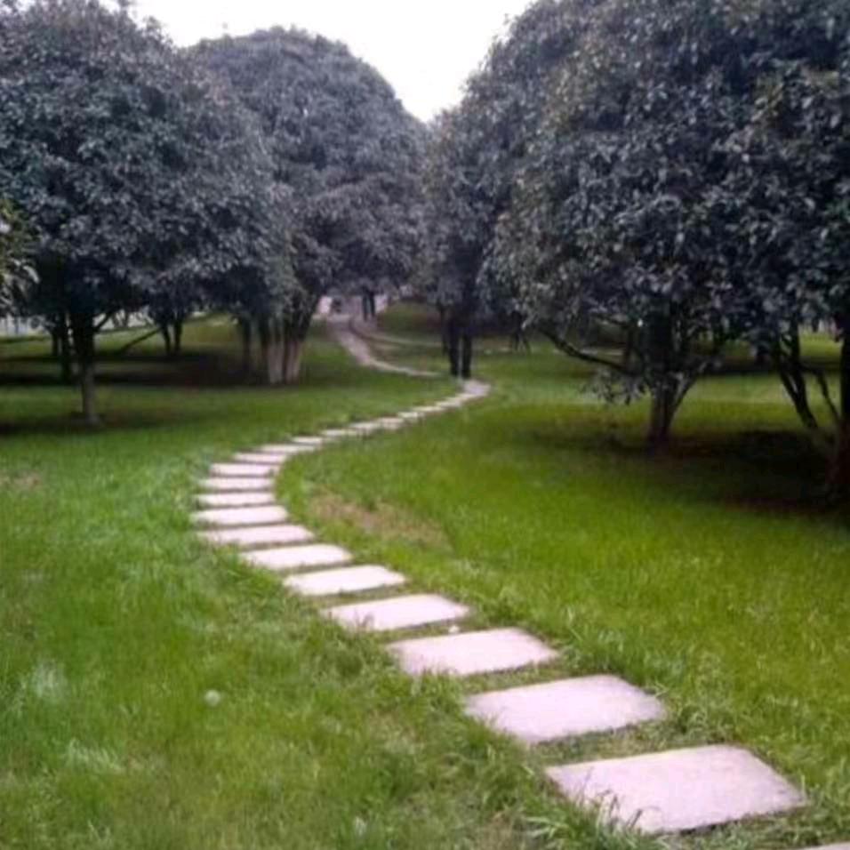 阿德