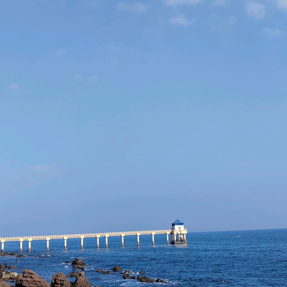浪鱼