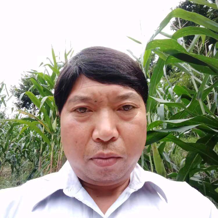 应三哥