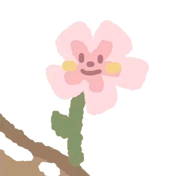 皓宝