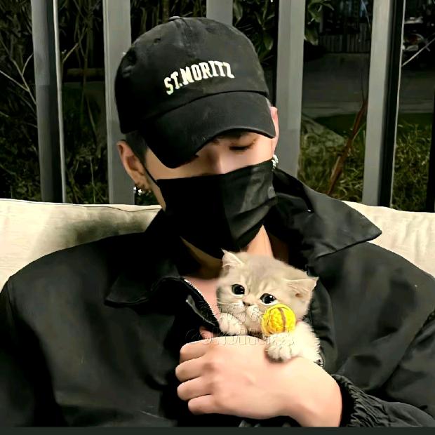 亿家小魏信息工作室