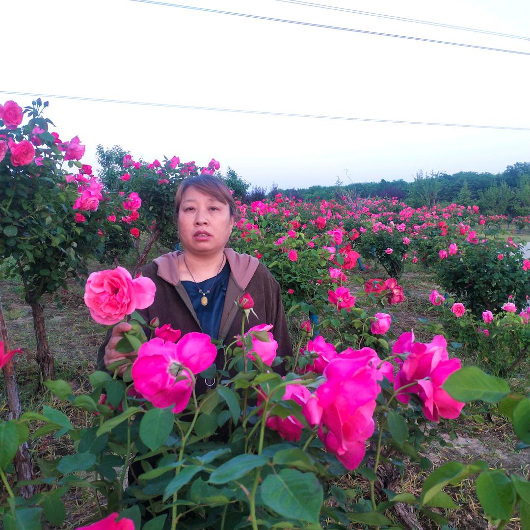 乡情，民俗鼓乐队