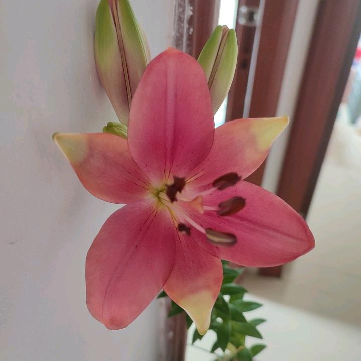 ℳঞ往事🍒清零꧔ꦿ້໌ᮨ࿐