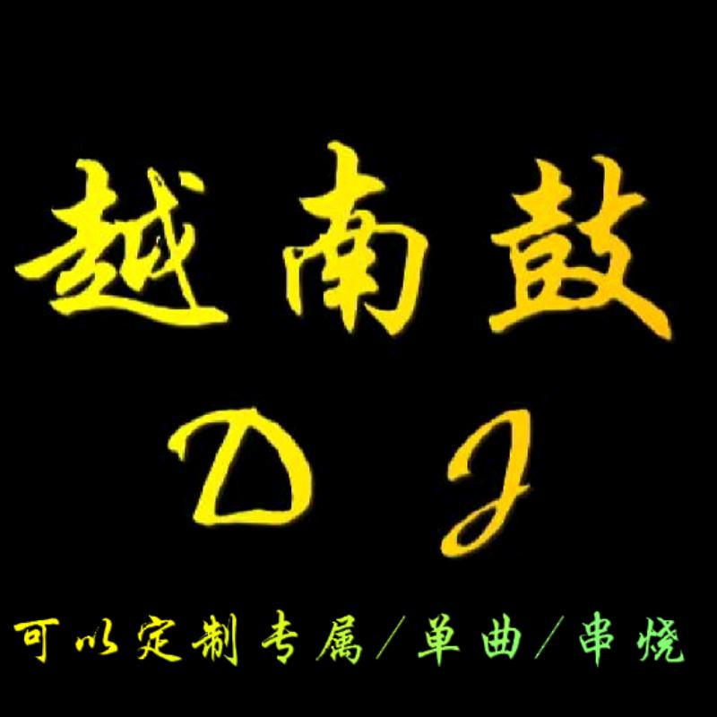 越南鼓Dj（车载U盘）