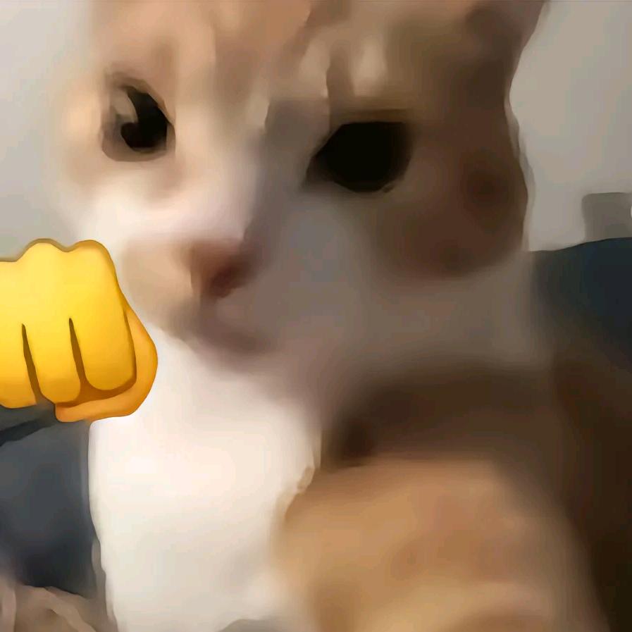 飞起来！