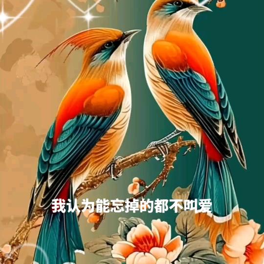 运镖路上见，夏哥、