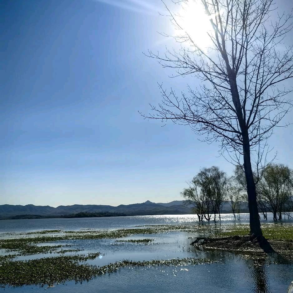 岁月静好