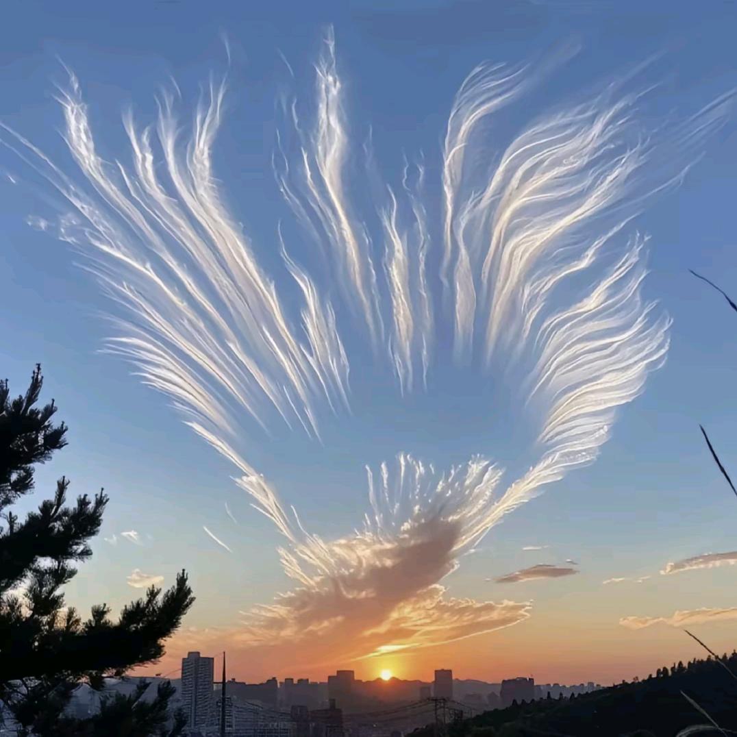 時來運轉、