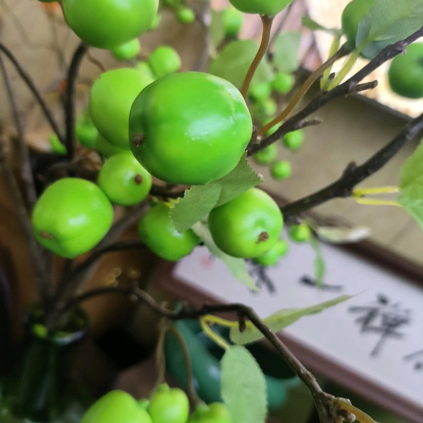 小飞哥
