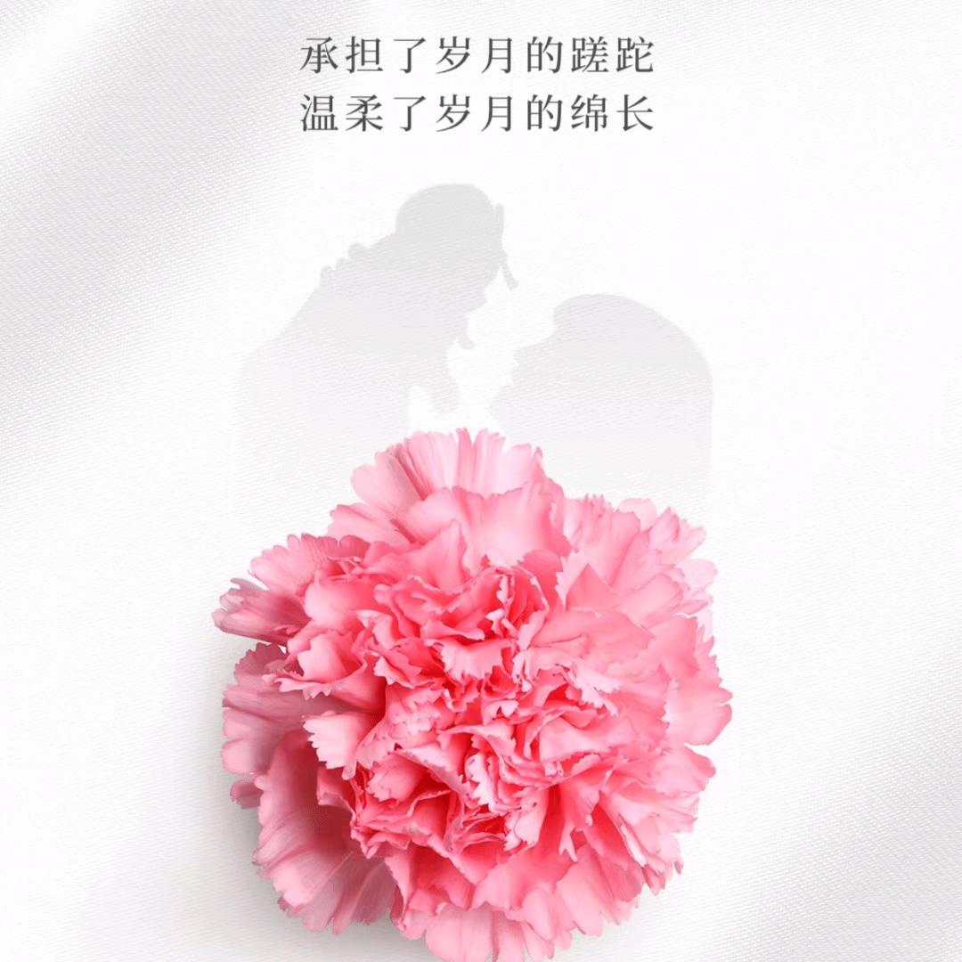 芳🌺
