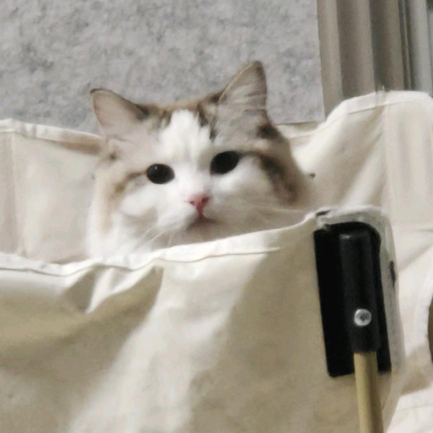 水晶杂货铺