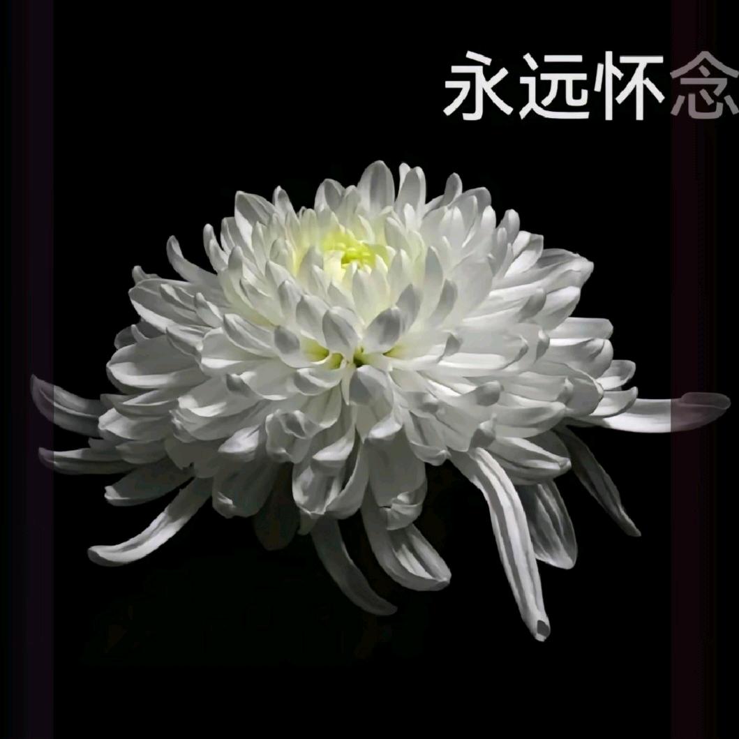 追赶时光