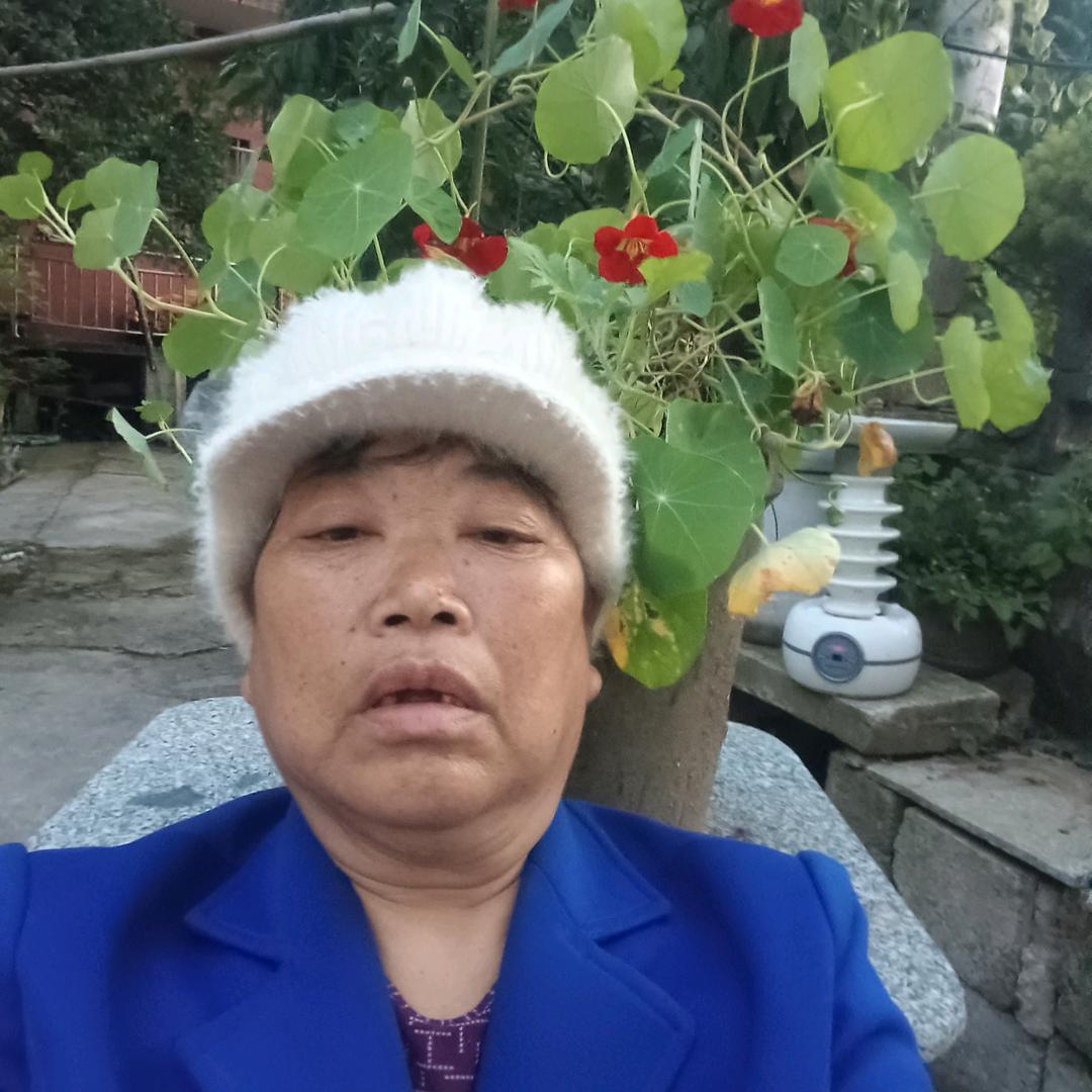 杨文芬