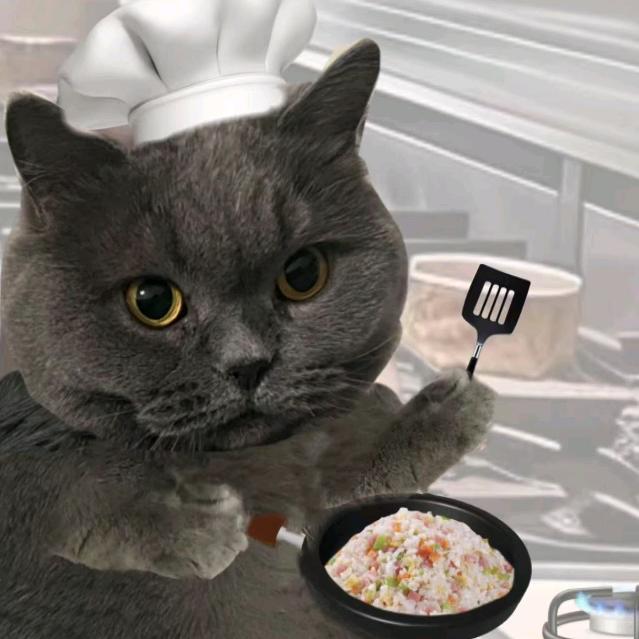 我家猫超拽